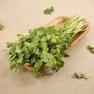 Coriander leaves
