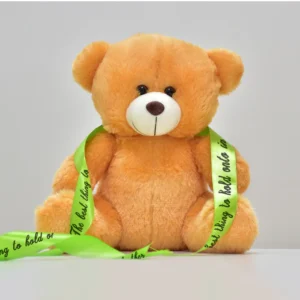 Teddy Gift