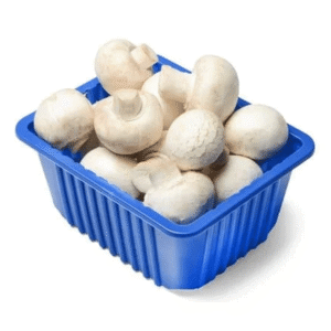 mushroom