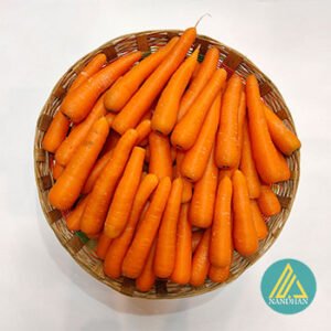Carrot