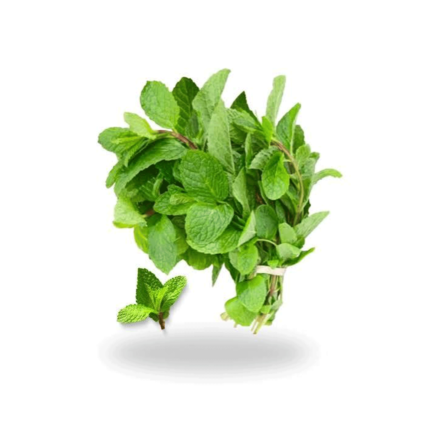 Mint Leaves (புதினா)