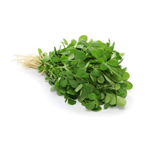 fenugreek-leaves-1pcs