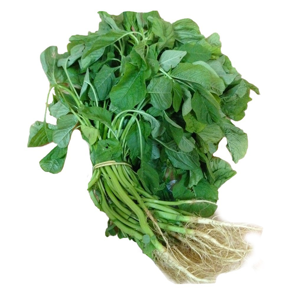 spinach-1pcs