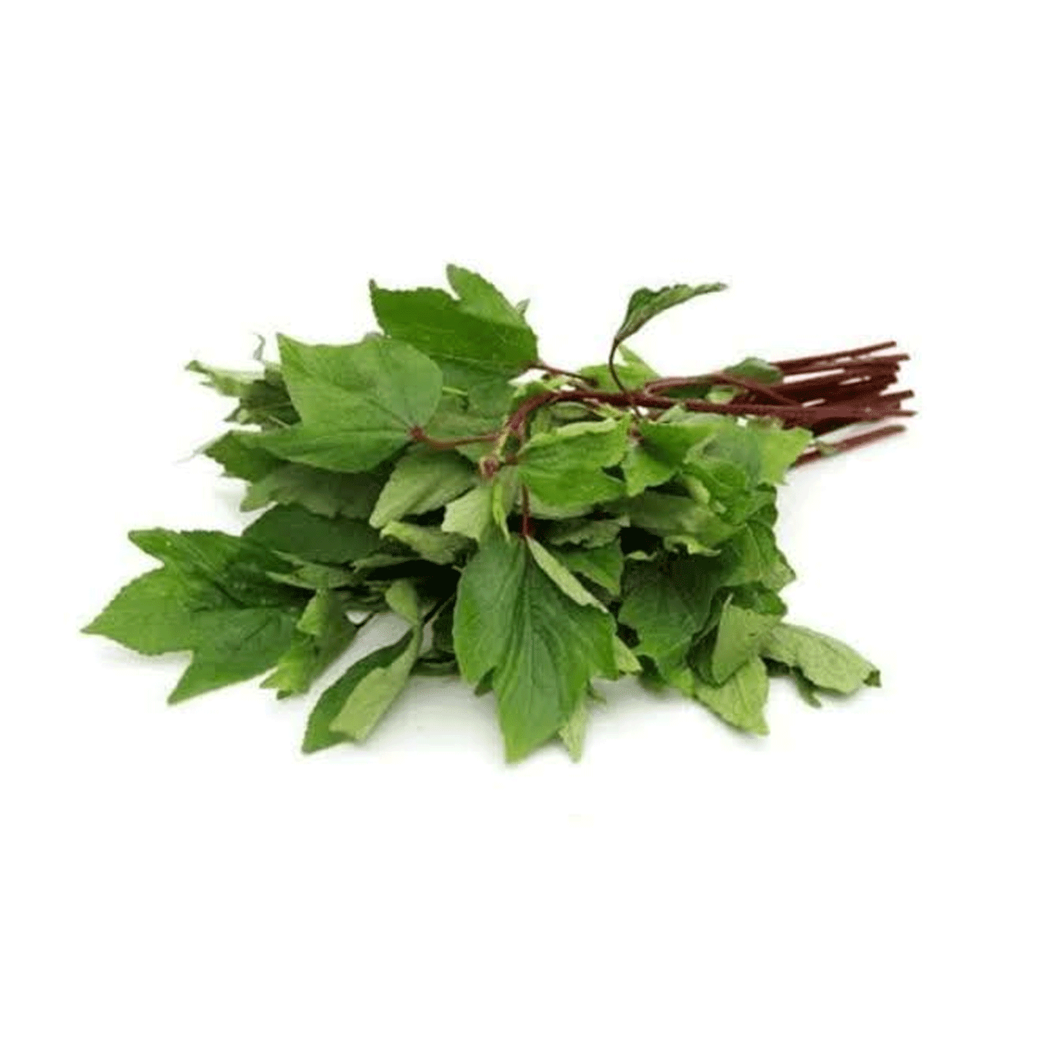 Pulicha Keerai (புளிச்சக்கீரை) - 1pcs
