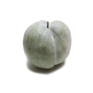 ash-gourd