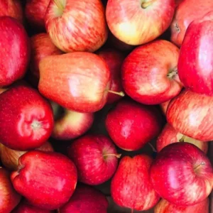 %e0%ae%86%e0%ae%aa%e0%af%8d%e0%ae%aa%e0%ae%bf%e0%ae%b3%e0%af%8d-apple