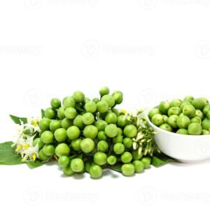 turkey-berry