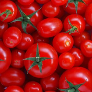 tomato-%e0%ae%a4%e0%ae%95%e0%af%8d%e0%ae%95%e0%ae%be%e0%ae%b3%e0%ae%bf